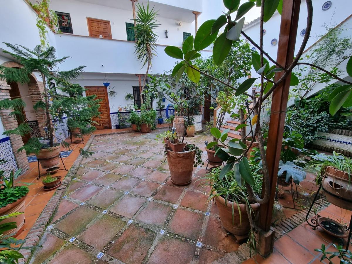 Apartamento De Estreno En Los Patios Tipicos De San Basilio قرطبة المظهر الخارجي الصورة